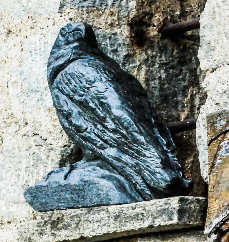 Il Corvo